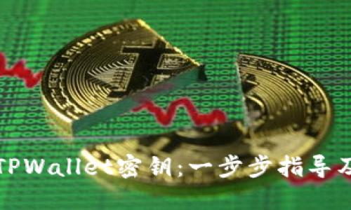 如何查看TPWallet密钥:一步步指导及安全提示